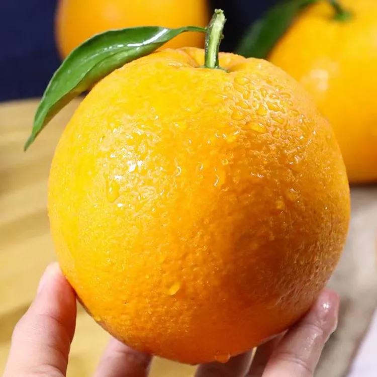 橙乡三百山赣南脐橙安远产地果园现采直发70-80江西橙子9斤包邮