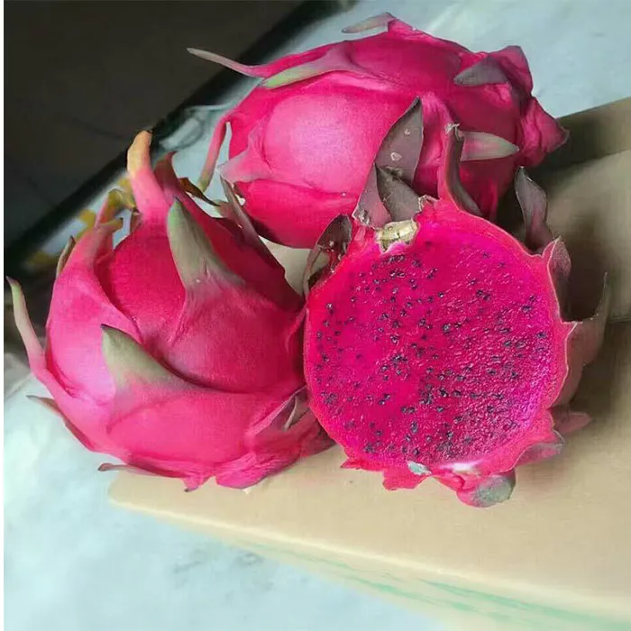 金都一号红心火龙果4.8-5斤3-6个内