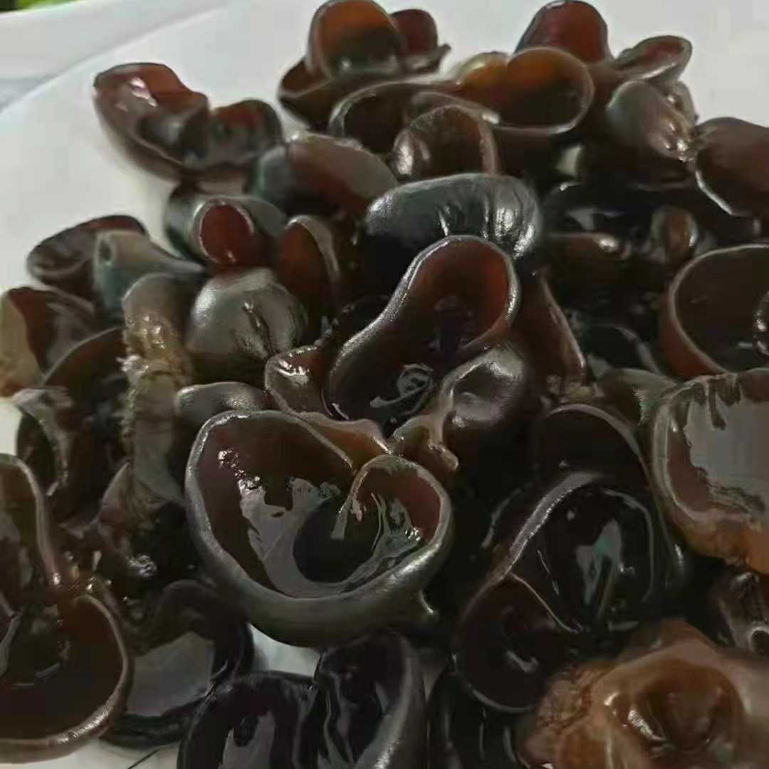 吉林长白山   黑木耳  净含量500克