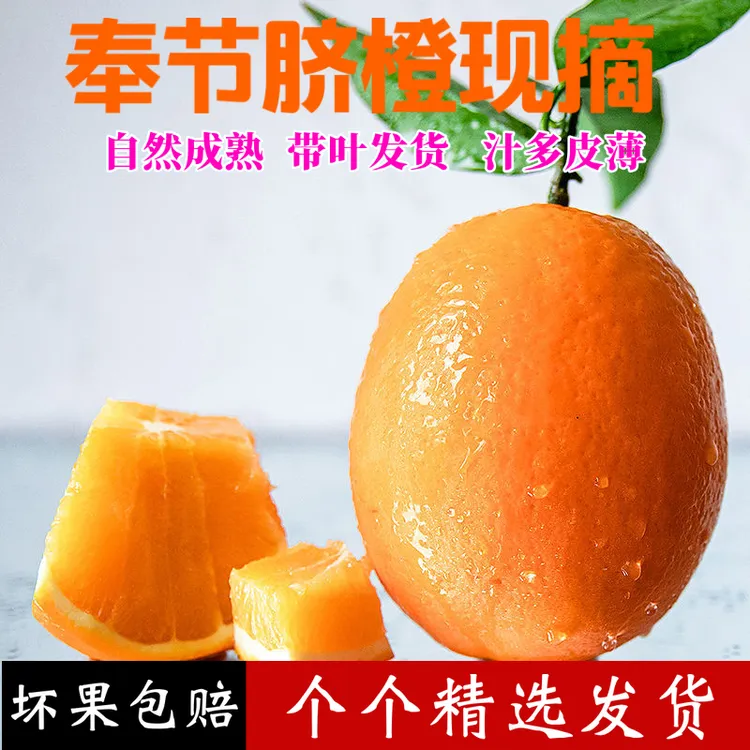 奉节脐橙纽荷尔10斤20斤橙子现摘现发应季水果鲜橙鲜甜甜橙新鲜