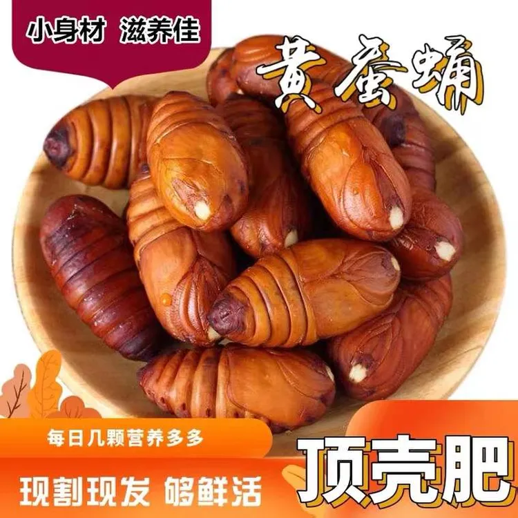 东北吉林林区农产品鲜活新鲜树蚕黄蚕直供老少皆宜净重500克包邮