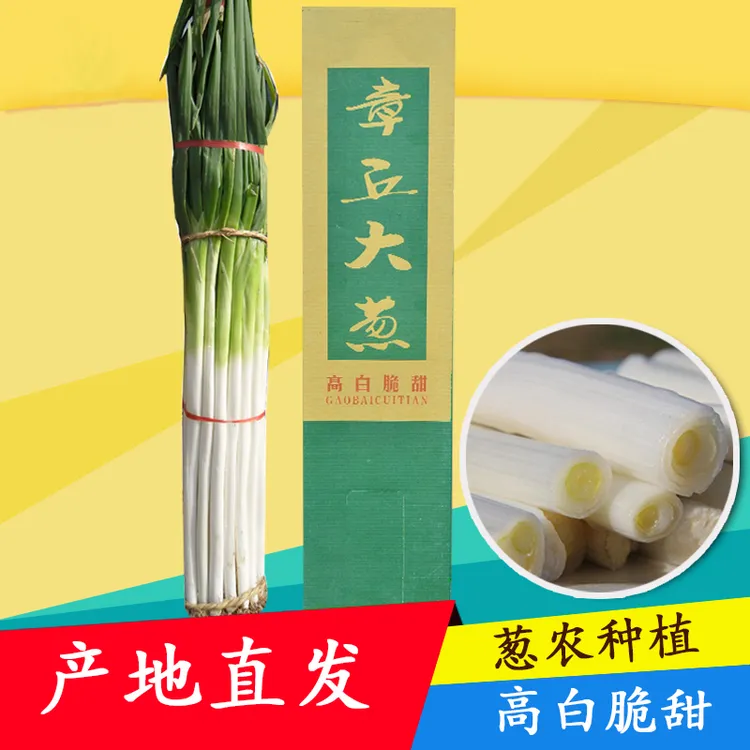 【原产地章丘大葱】 葱农直销现刨现发新鲜5斤装/9斤装