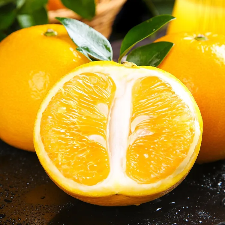 【自然搭档】福建黄金葡萄柚4.5斤现摘清甜多汁送榨汁器多仓发zb