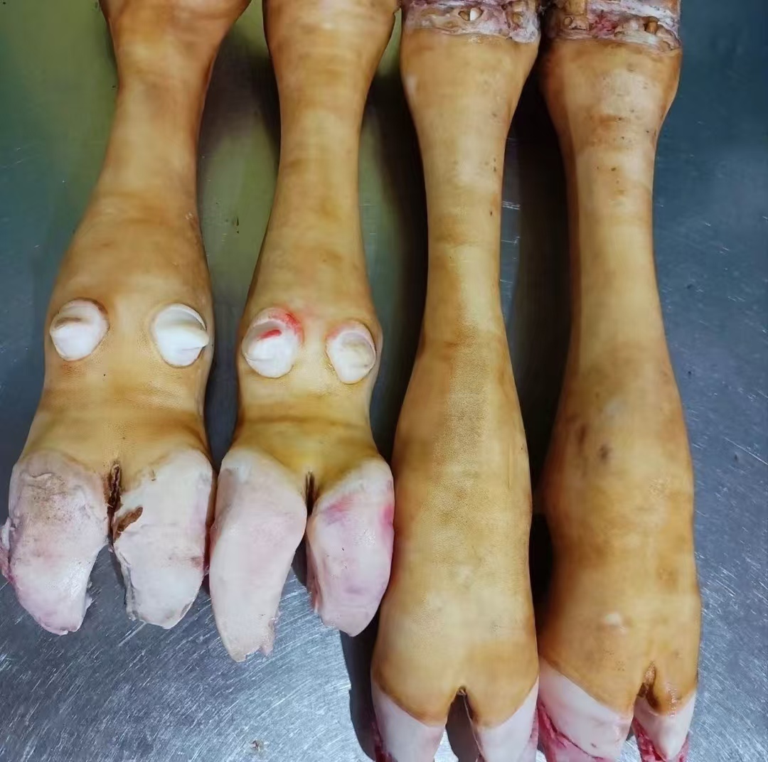 本地黄牛 牛蹄子 新鲜黄牛蹄 火烧去毛 营养丰富 顺丰包邮