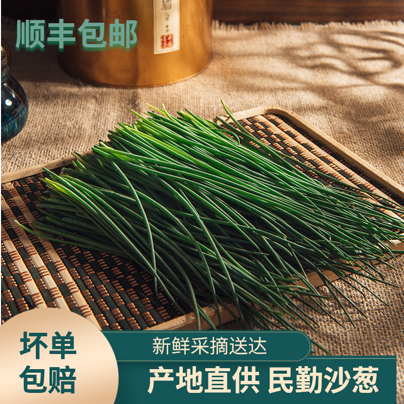 顺丰包邮沙葱新鲜民勤特产野生蔬菜火锅食材防冻保鲜包邮野葱