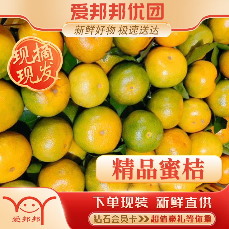 酸酸甜甜好味道 新鲜蜜桔【3.99元/斤】