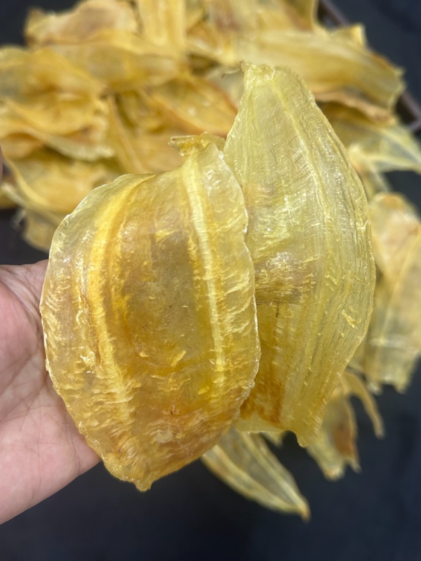 济雄海产品竹叶胶 厚肉多胶 润f250-500克