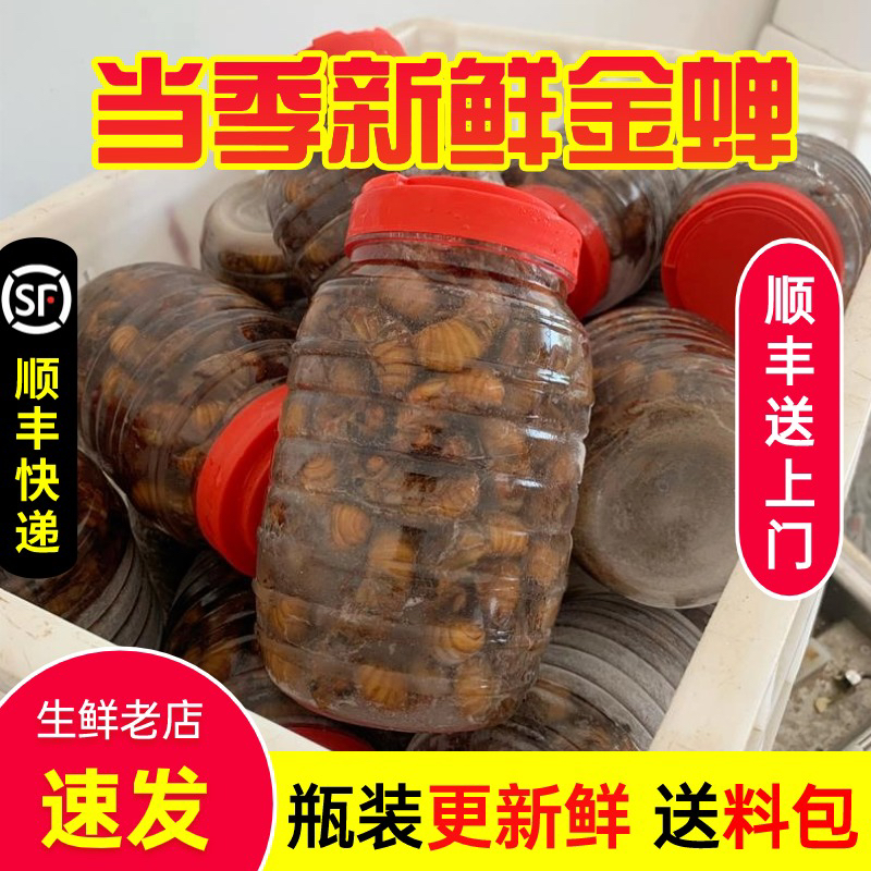 【顺丰包邮】新鲜知了 爬叉猴 白蝉 组合装冰冻保鲜发货速冻精选