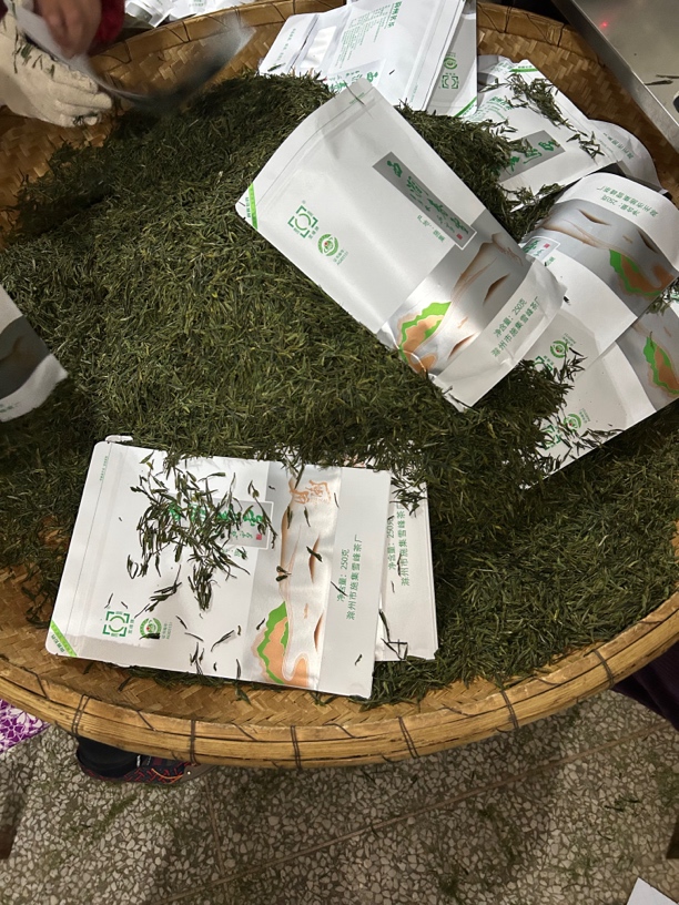 2024年老茶树野生绿茶施集春雪自带板栗香老品种500克口粮茶