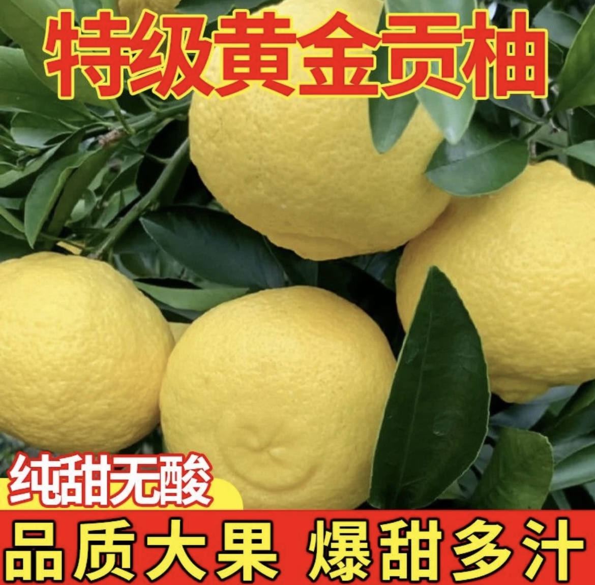 湖南洪江岩珑黄金贡柚/象山青纯甜不酸香甜爽口坏果包赔产地直发