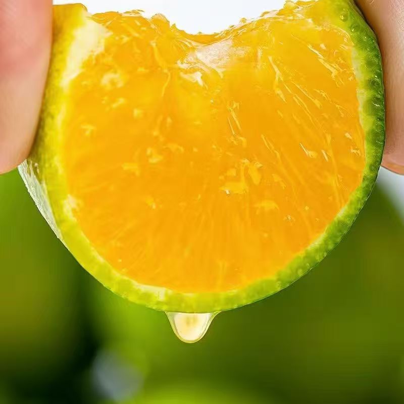 【坏果包赔】云南哀牢山冰糖橙4.5斤新鲜绿皮橙子柑橘当季水果