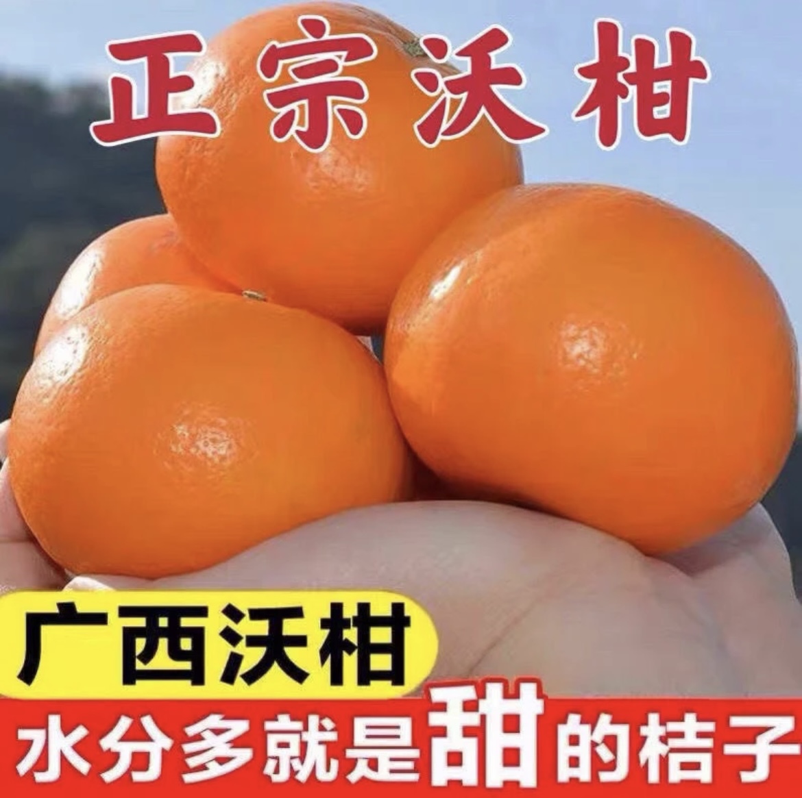广西新鲜沃柑水果沃柑橘香甜爆汁甜蜜多汁皮薄爽口正宗高品质成熟