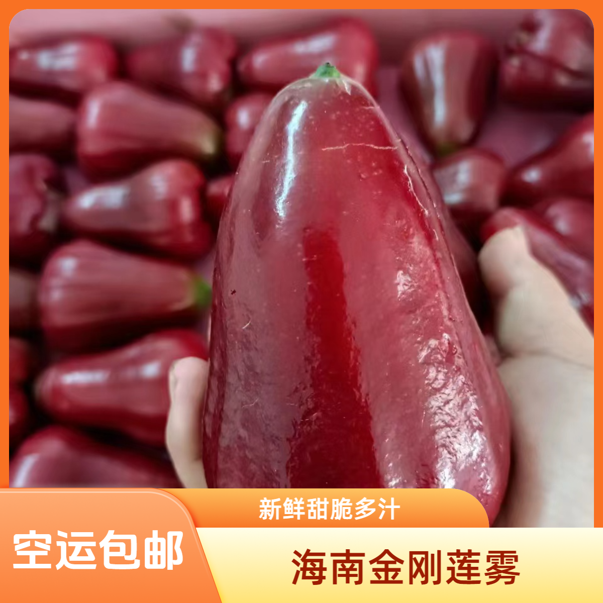 新鲜海南黑金刚莲雾水果三亚优质甜饱满果香多汁清香脆嫩顺丰包邮