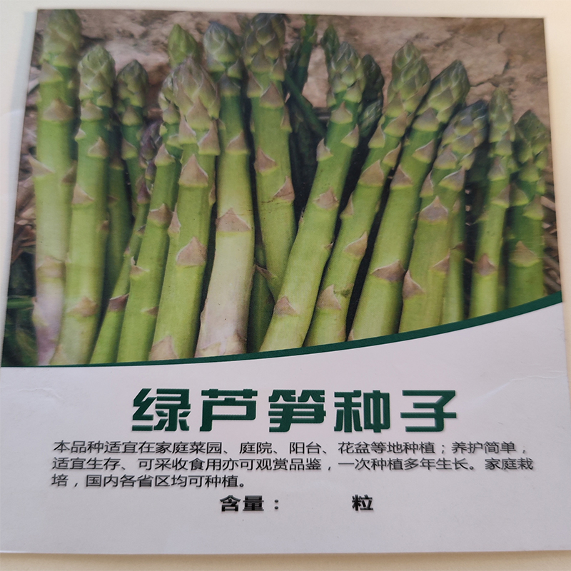 刘保真家庭装绿芦笋种子四季播种耐热耐寒可盆栽适宜种植生长观赏