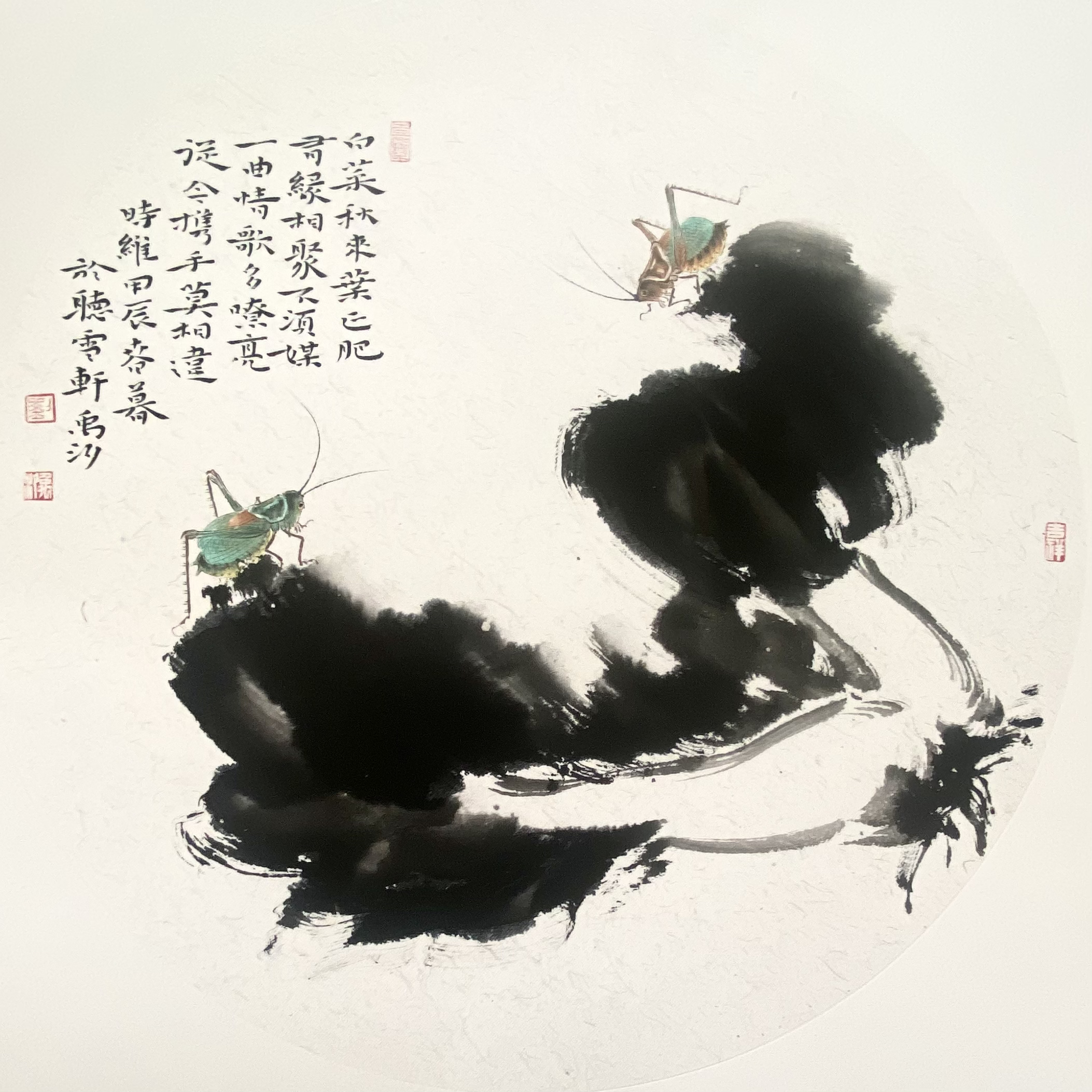 百财多福，写意白菜蝈蝈