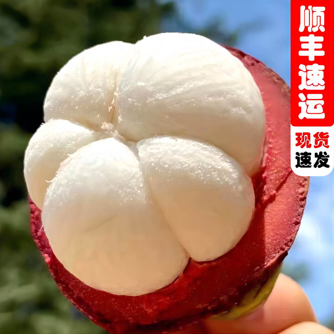 【顺丰速运】泰国进口优选新鲜山竹尝鲜装新鲜山竹饱满清甜
