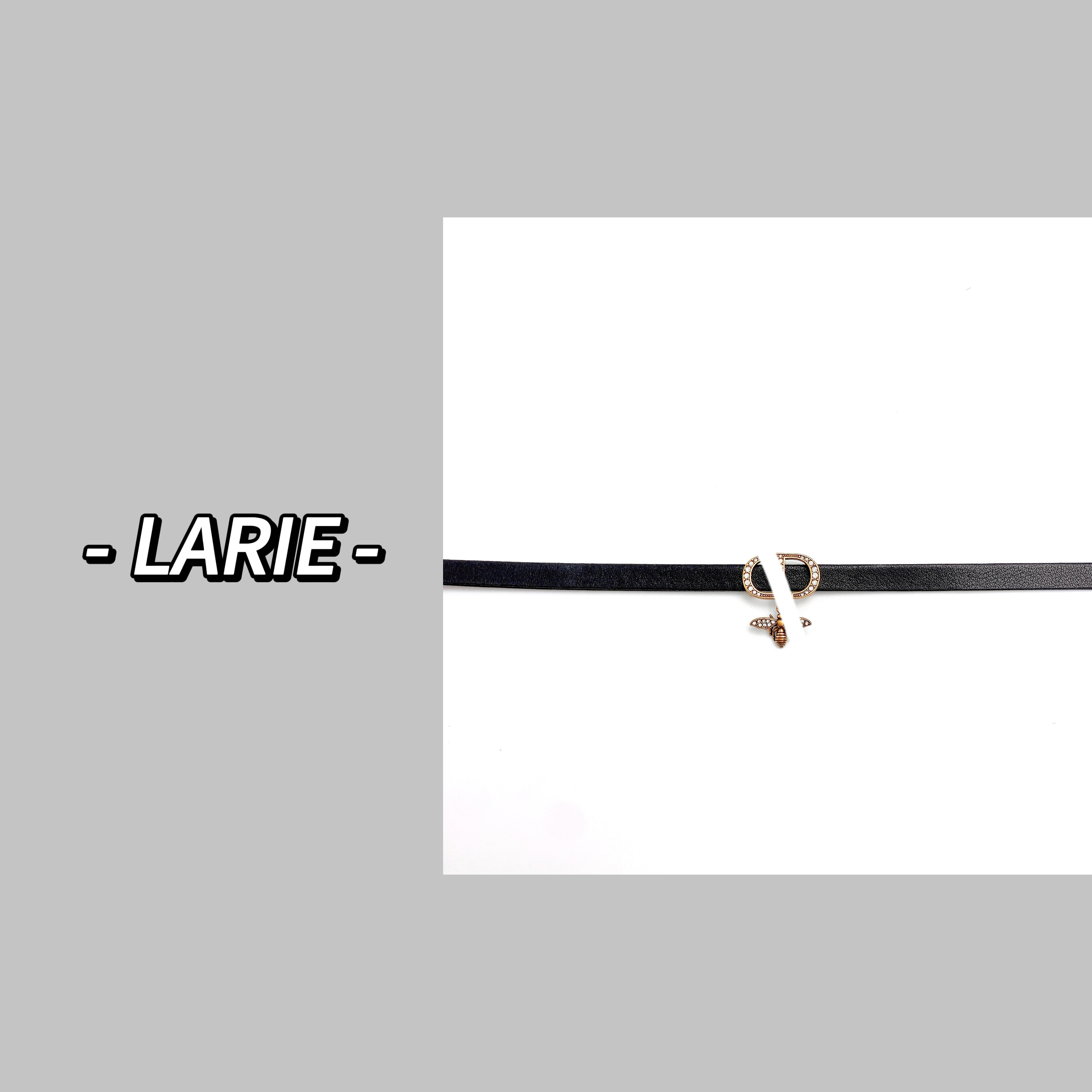 非金属项链 妍选LaRie 高定黑色显瘦小蜜蜂项圈 JS0281