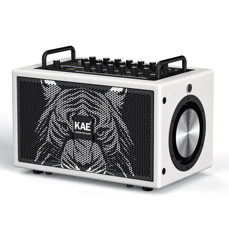 KAE-M5数字无损立体声专业直播音响便携手提大功率乐器弹唱音箱