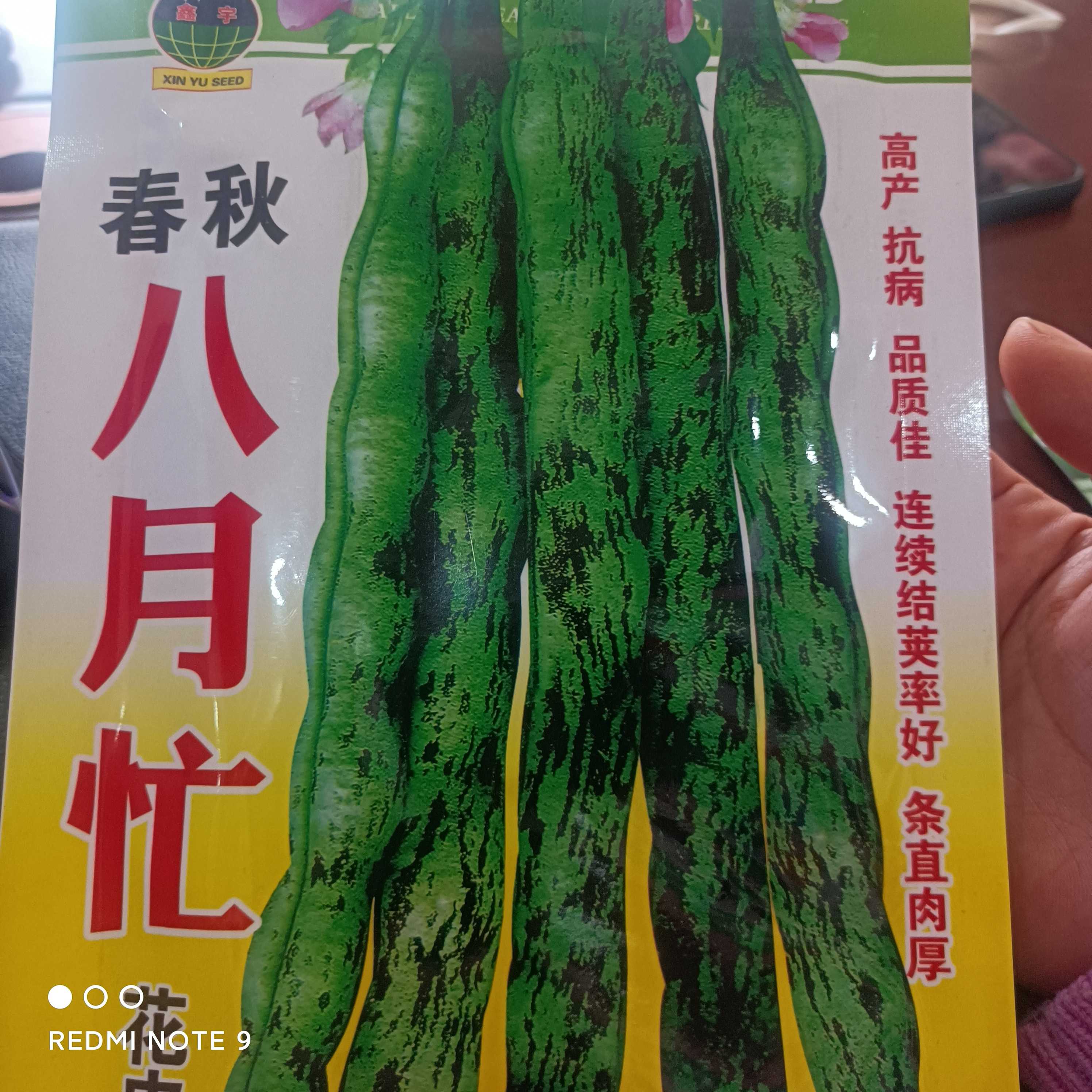 八月忙花皮豆蔬菜豆角，蛇皮豆50克拍一发二蔬菜种子豆角种子