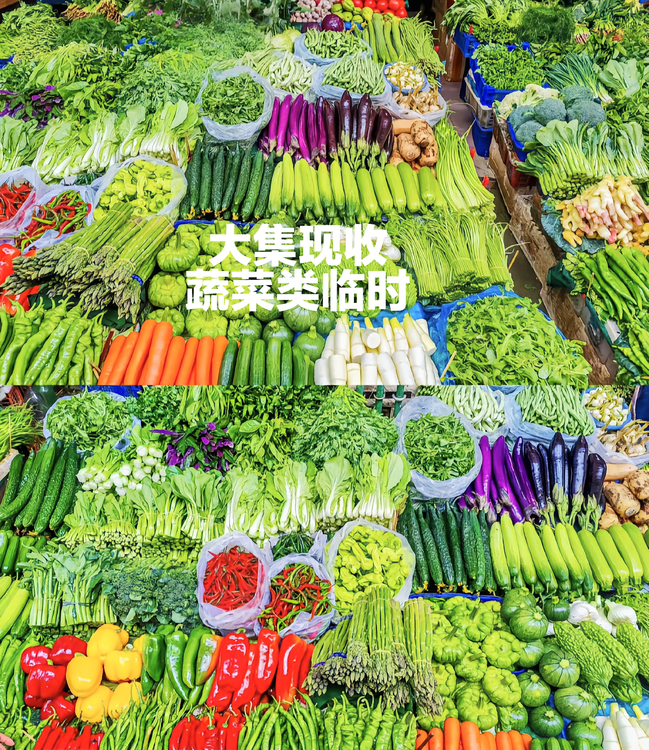 临时7 云南苦子蔬菜 卤蛋甄选