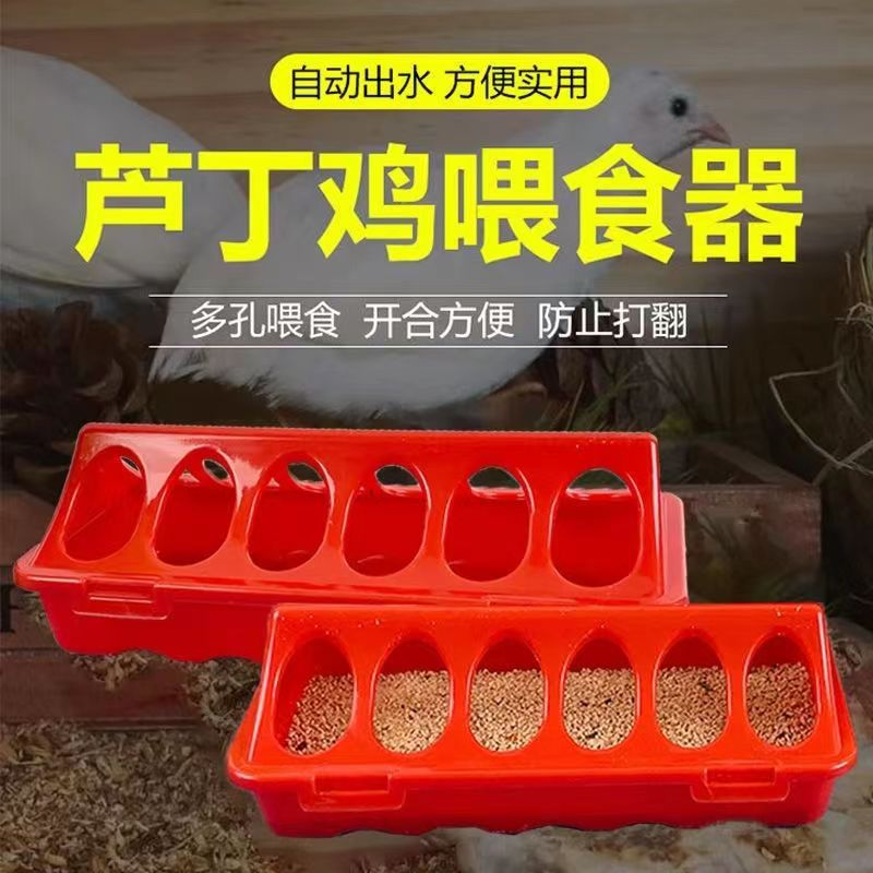lorde芦丁鸡 喂食器 自动饮水器芦丁鸡 防撒食槽 自动下料器