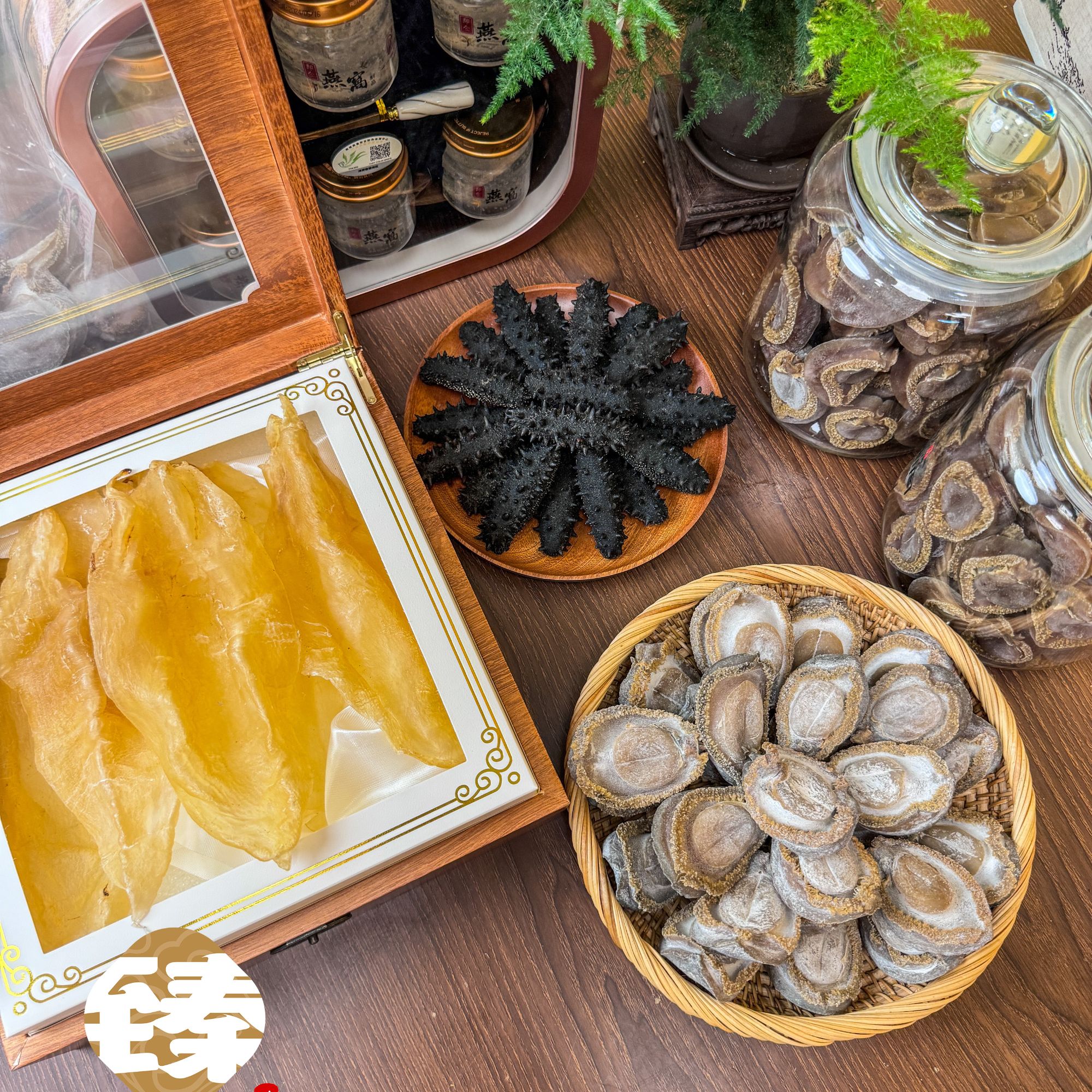  大连鲍 综合链接