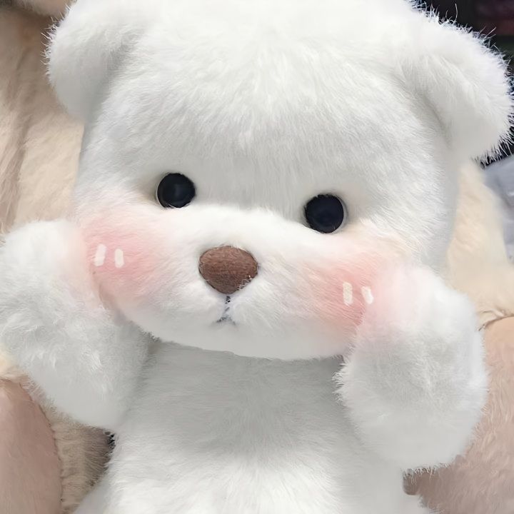 正版TeddyTales莉娜熊衣服毛绒玩具关节可调玩偶送男女友生日礼物