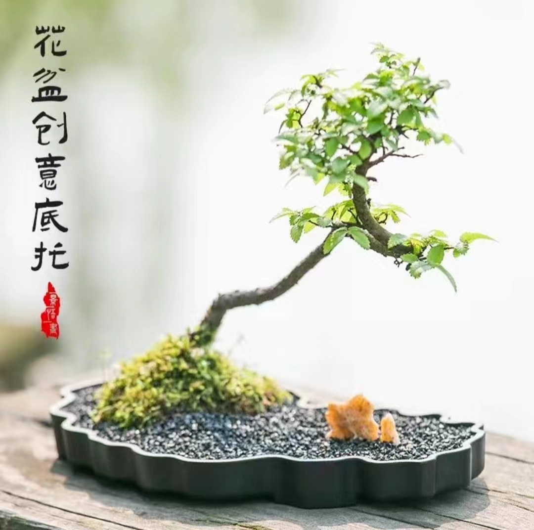 碗莲专用盆异形花盆底座托盘阳台树脂塑料花盆水旱盆景盆客厅复古