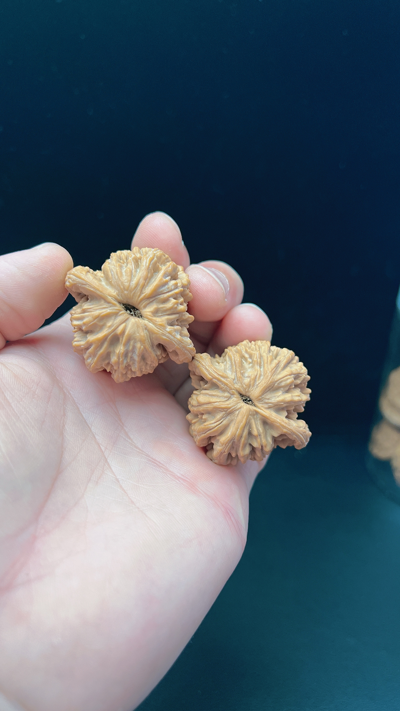 文玩核桃：麦穗虎头