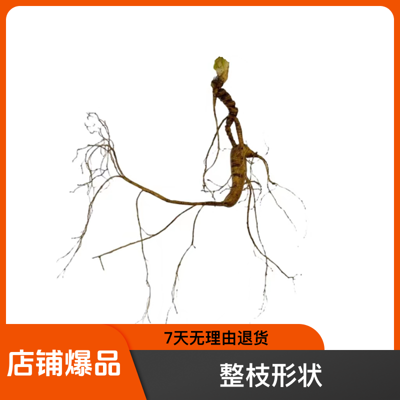 东北初级林下参人参老货散装泡茶泡酒食用称重形状煲汤（改价链接）