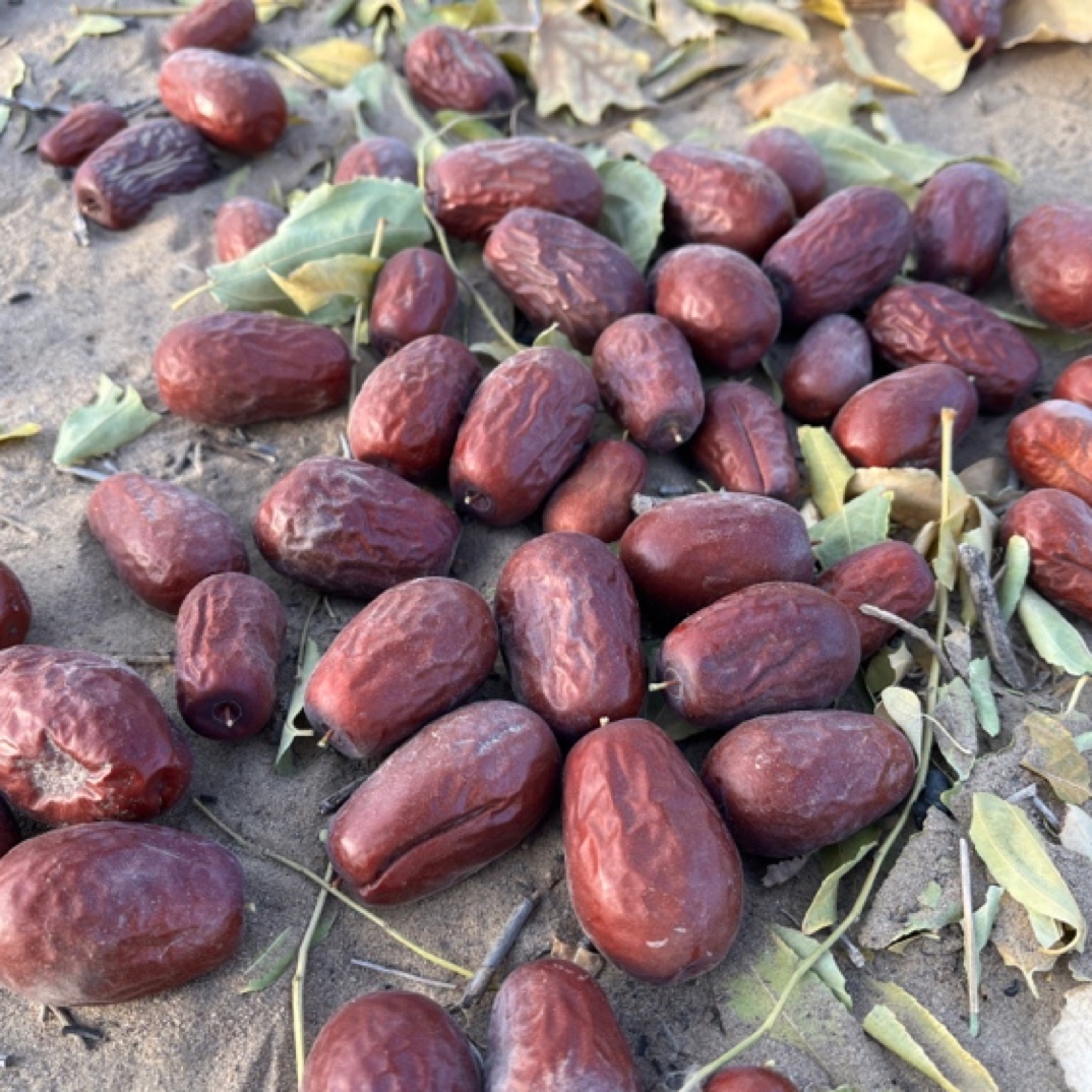 和田大枣二三级混装3-4公分2斤5斤原产地直发带土不加工（包邮）