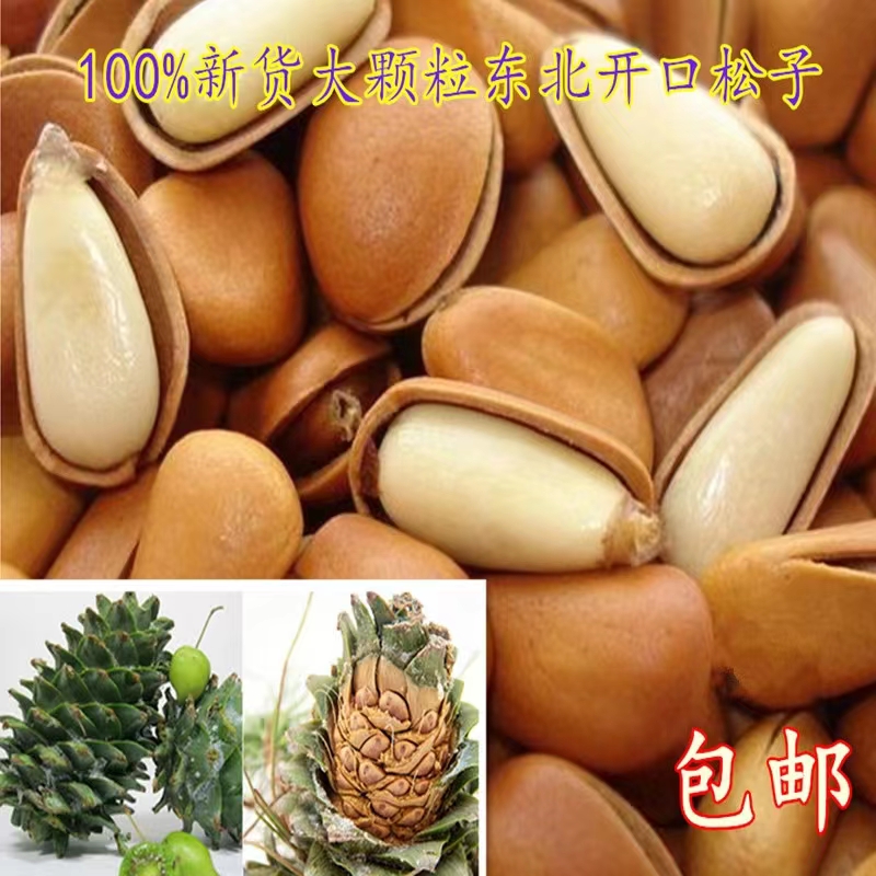 东北生松子 油炸松子 笨炒松子 生松子 一斤包邮顺丰