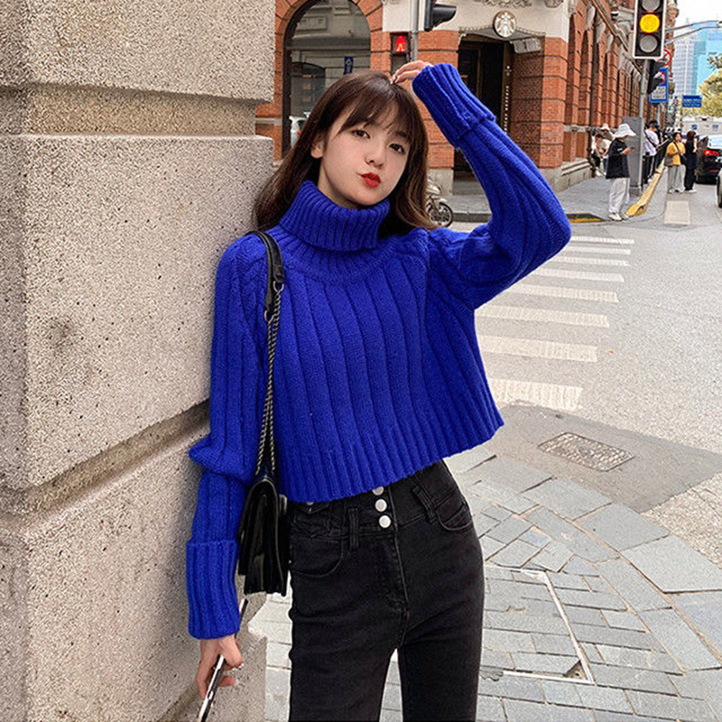 艾格丽芙琳高领毛衣女秋冬设计感短款内搭上衣网红时尚长袖针织衫