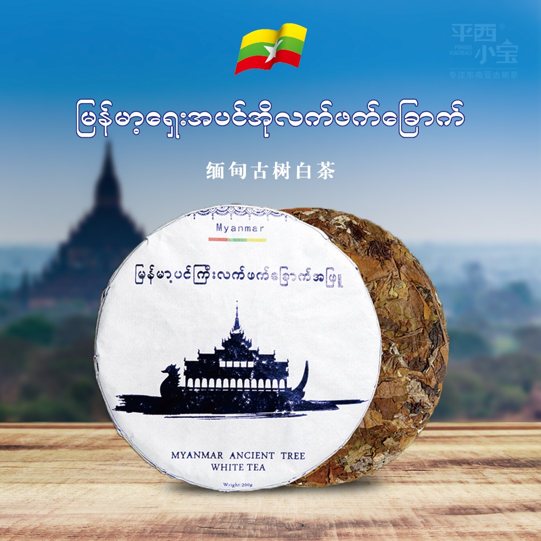 平西小宝 2022年缅甸古树白茶月光白茶