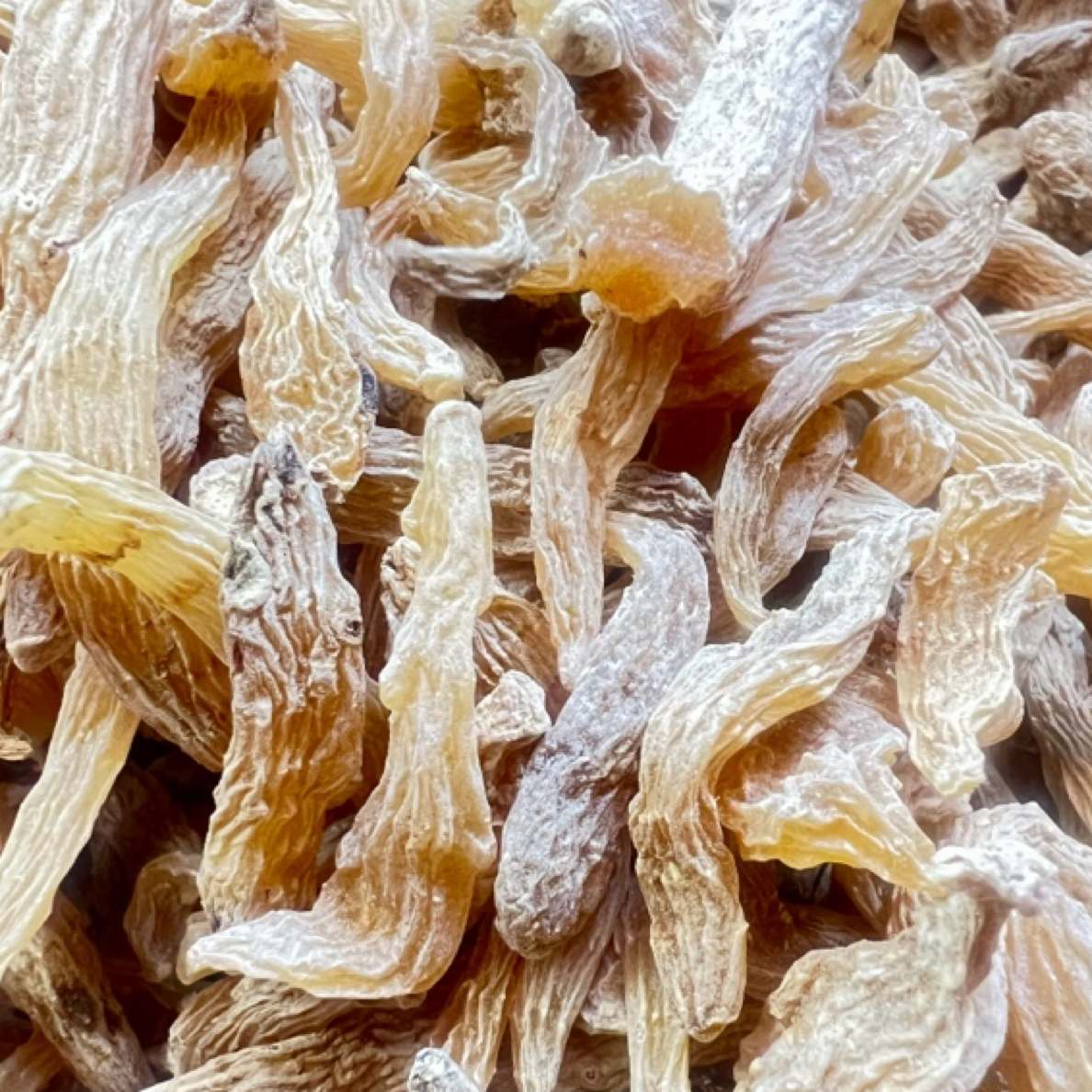 野生小天麻精品（云南高原特色山货）现称重量