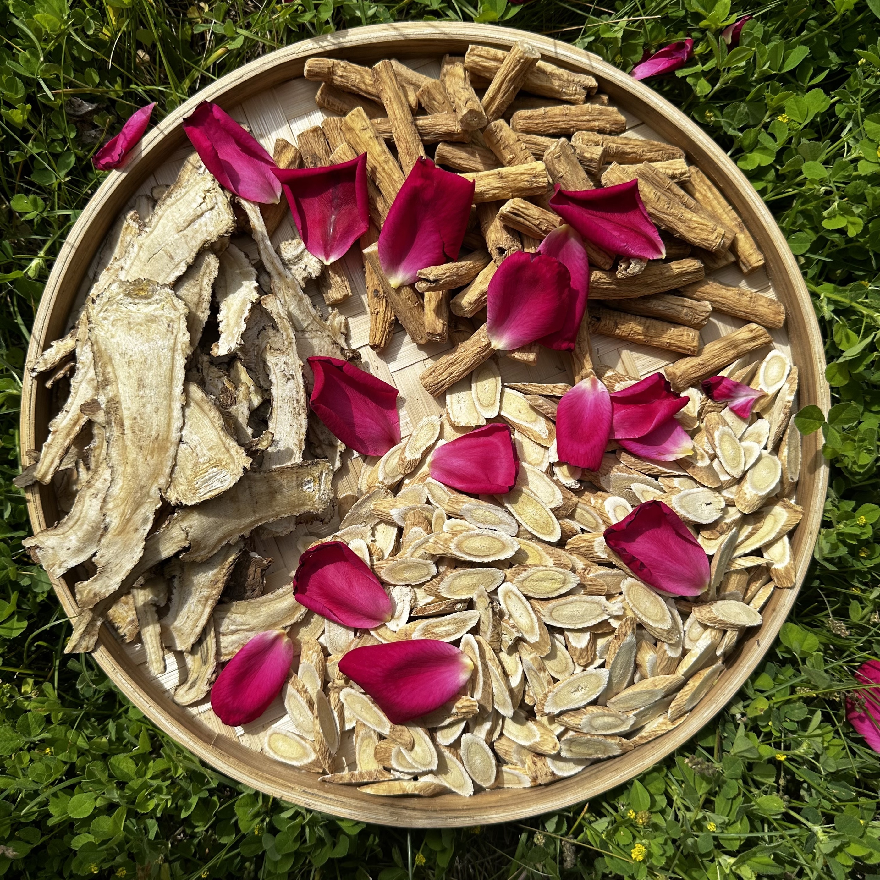 【滋补三宝】无硫党参当归黄芪甘肃原产地直发泡酒煮水泡水煲汤炖肉