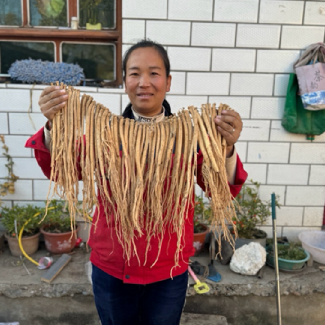 高海拔干货正品甘肃原产地直销  当归黄芪可搭枸杞泡水煲汤