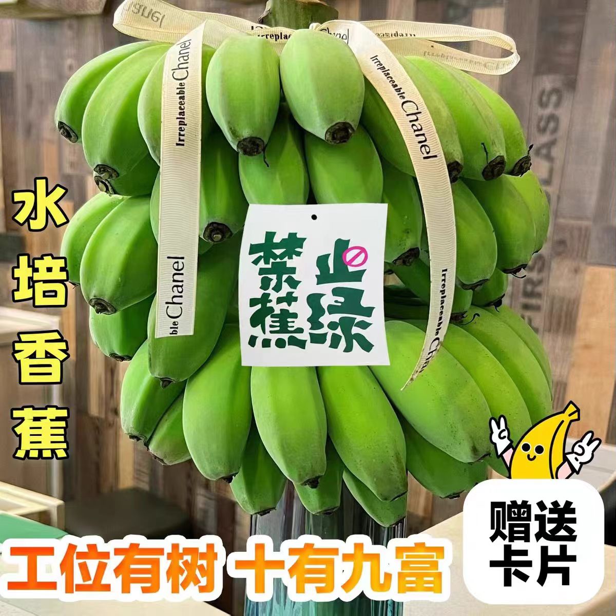 【网红爆款禁止蕉绿】桌面绿植整串带杆小米蕉水培水果植物可食用