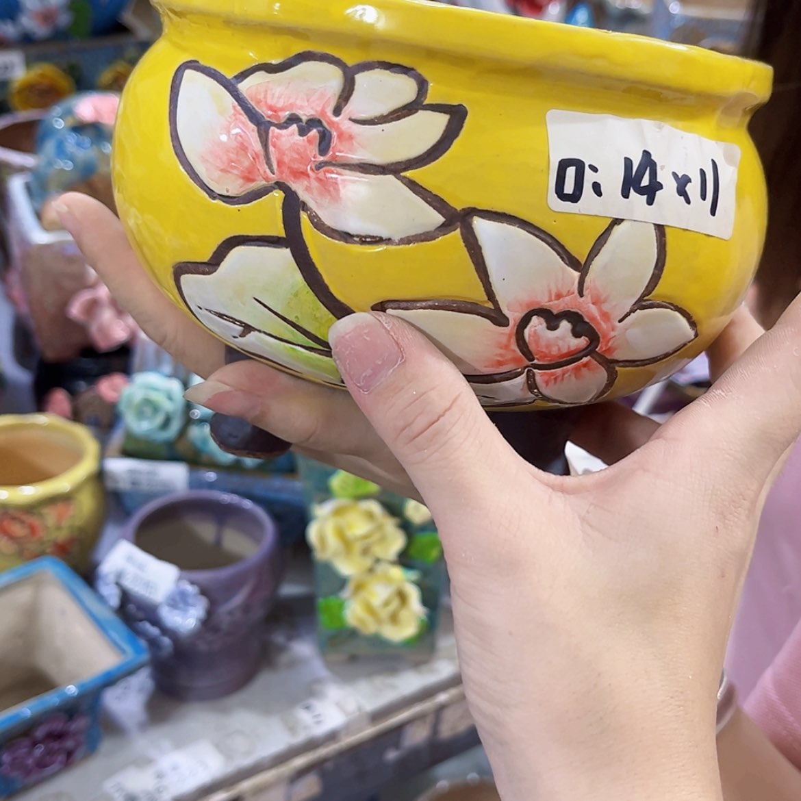 【闪购商品】红陶20CM以下