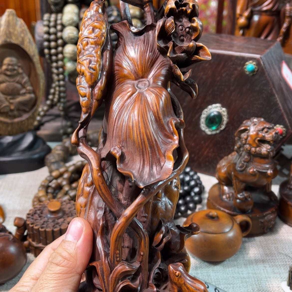 【闪购商品】黄杨木