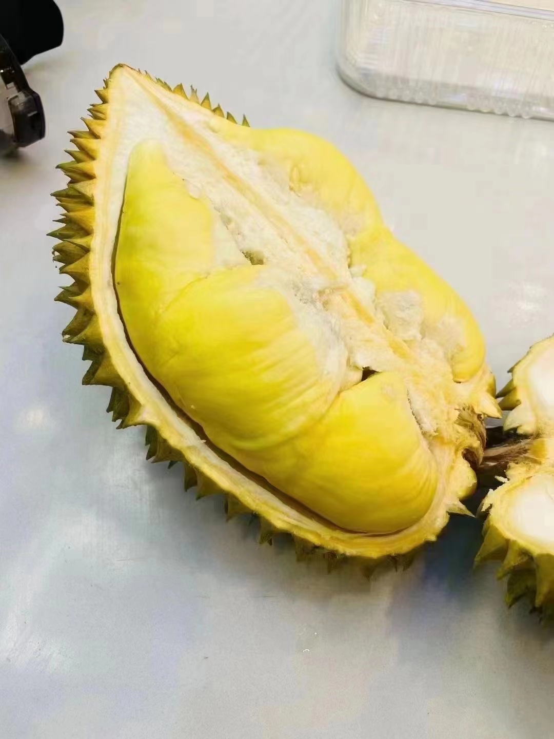 金枕一级