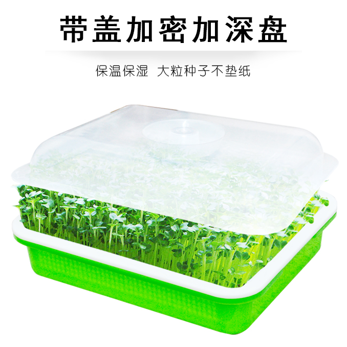 【农科院推荐】芽苗菜育苗盘种植盘加厚盘无土水培盘育苗盆皮实耐用