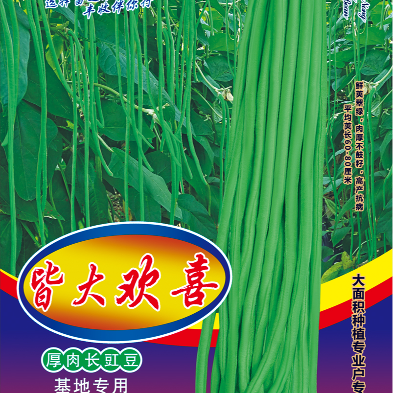 富连农皆大欢喜（一举成名）翠绿条肉厚高产豇豆种子