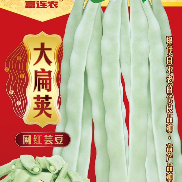 富连农大扁荚高产无筋宽扁芸豆种子