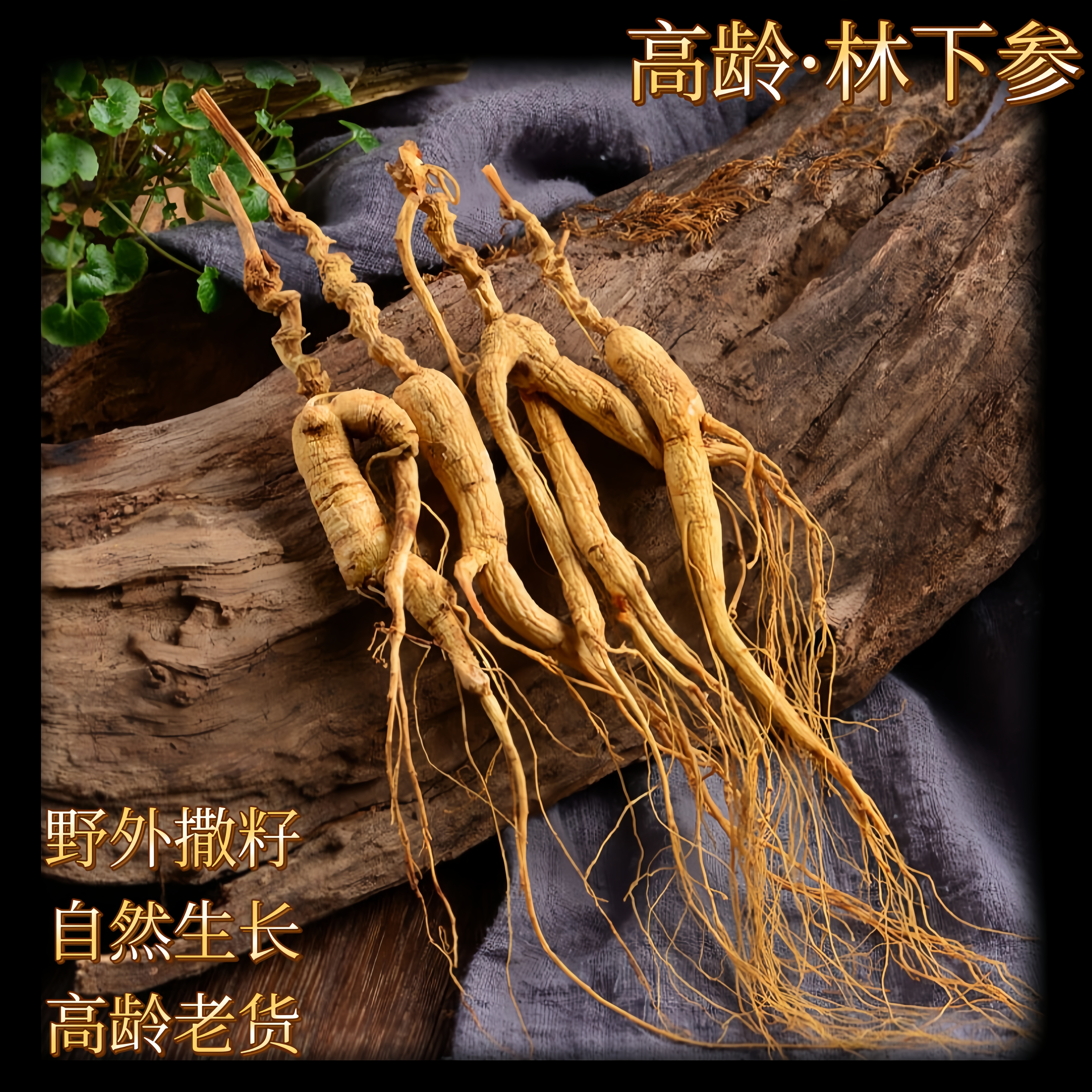 优质长白山林下山参残肢10-20年微残干人参残枝参泡酒煲汤滋补