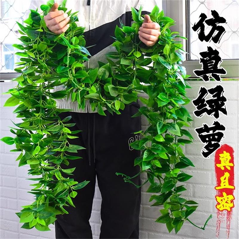 仿真藤条绿萝叶藤吊顶装饰假树叶葡萄叶藤蔓管道遮挡空调缠绕绿叶