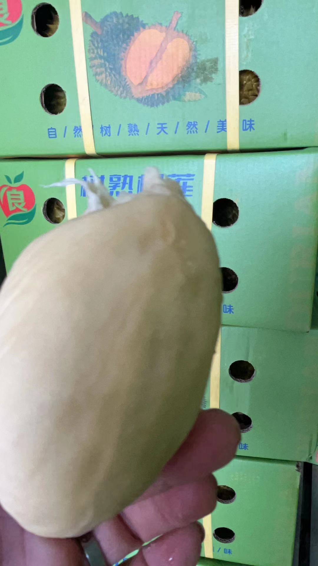 【纯A3整箱福利378一箱】16斤净果，3粒装，一对一包售后