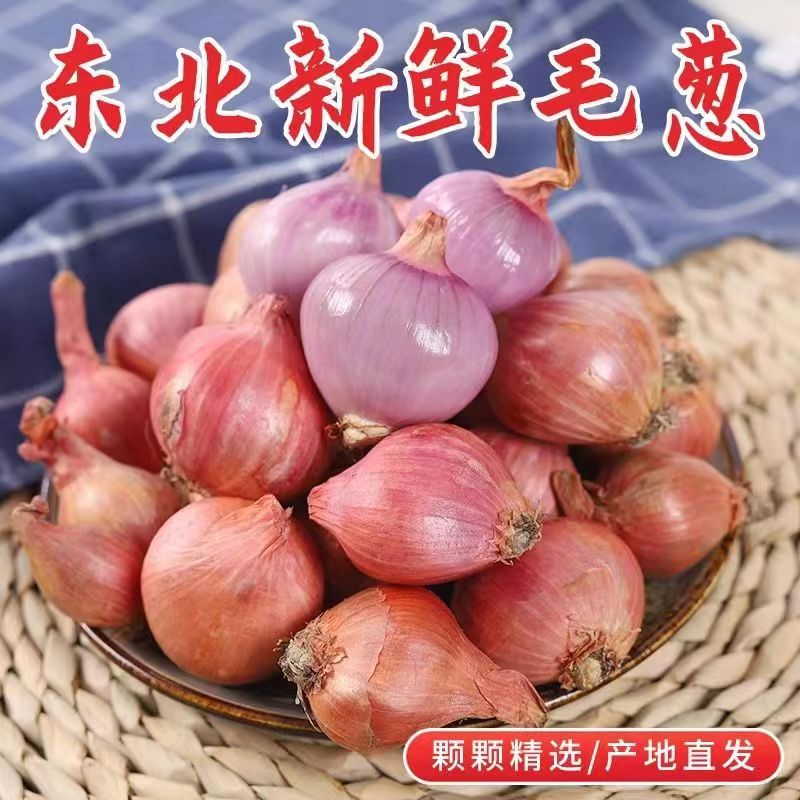东北特产农产品小毛葱头新鲜生吃小洋葱头食用3斤5斤包邮