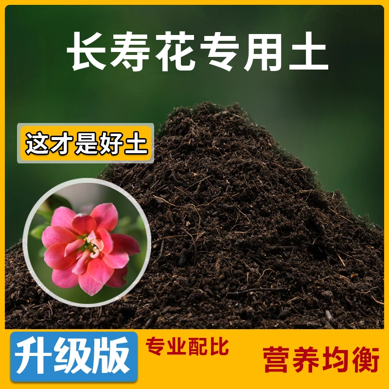 木槿花专用营土28号链接进口品氏泥炭土带木纤维透气性好适合植物