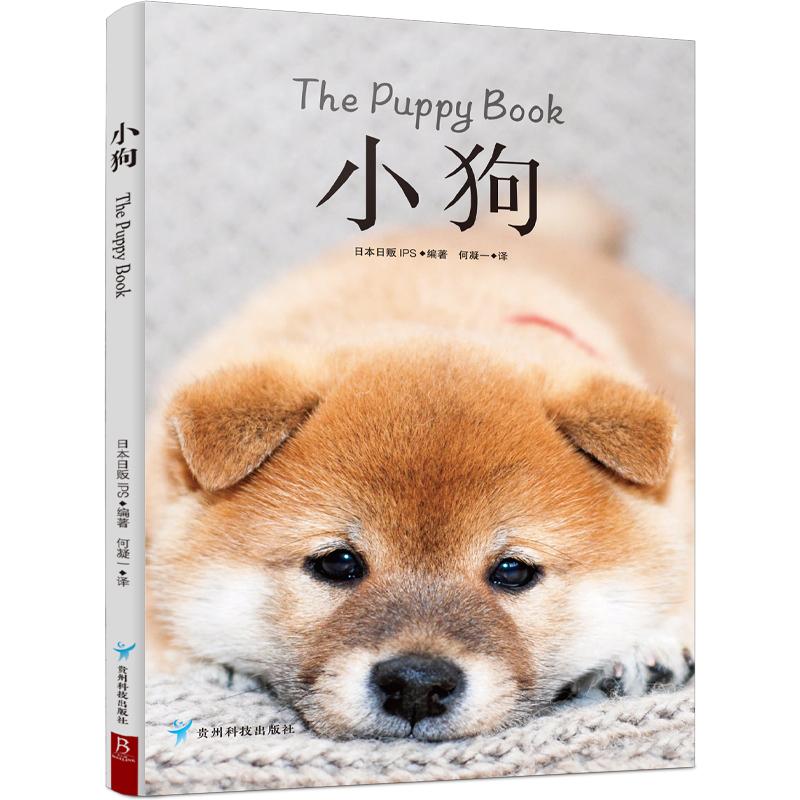 小狗 精选27种可爱软萌治愈的人气小奶狗 边境牧羊犬博美犬金毛寻